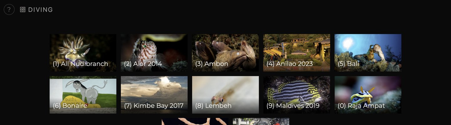 The opening screen showing album tiles, each with a cover photo and a name beneath it