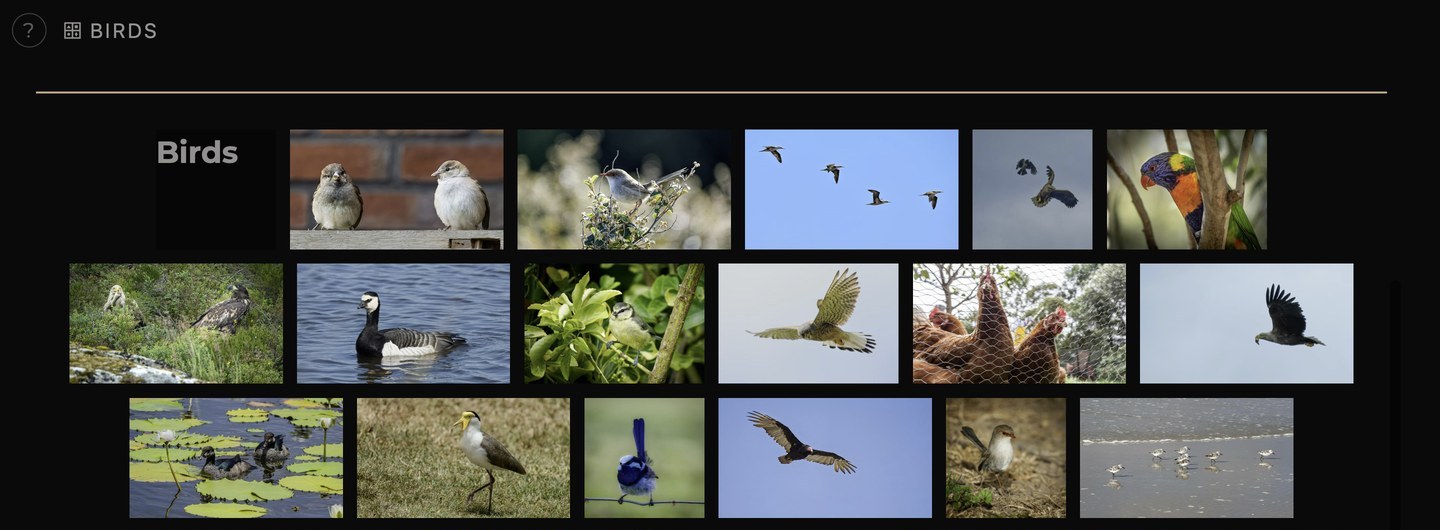 A grid of photo thumbnails below the album tiles