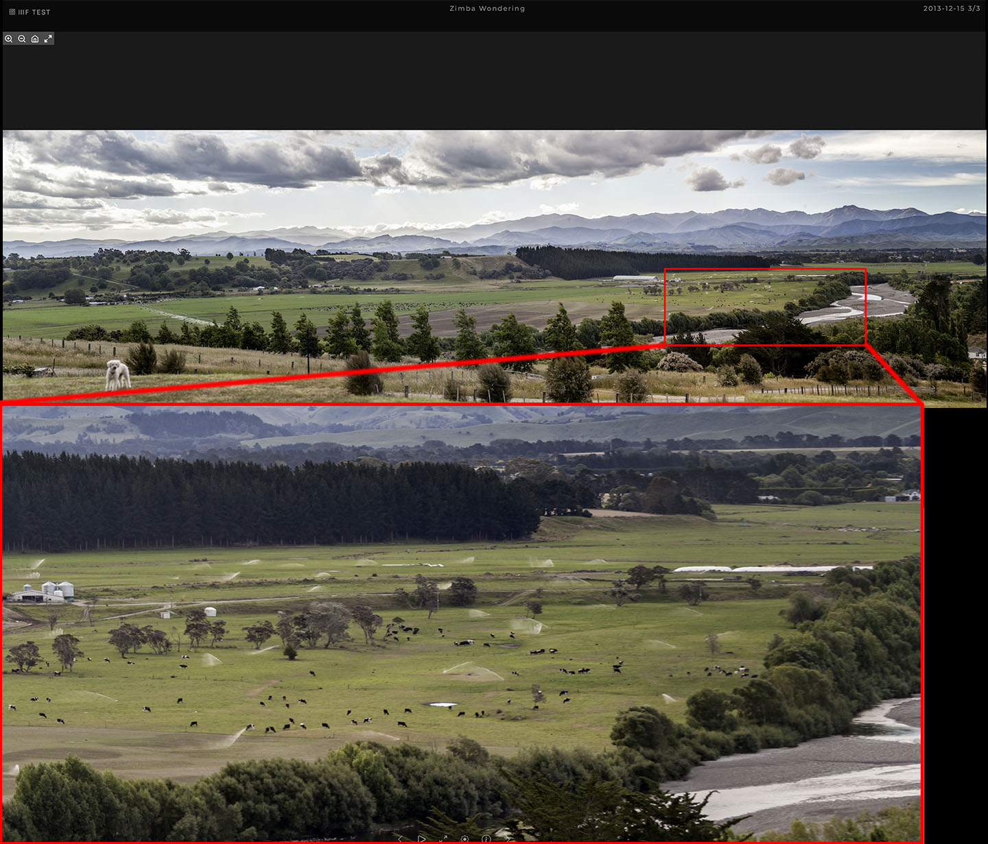 A detailed image zoomed in closely