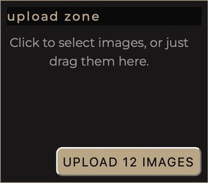 The Upload Zone box with the upload button in its corner